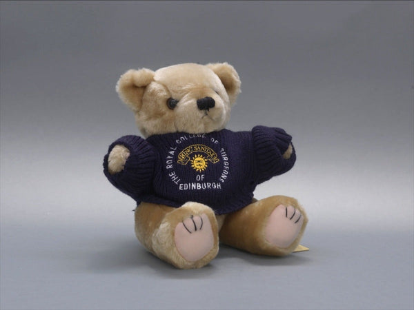 College Teddy Bear